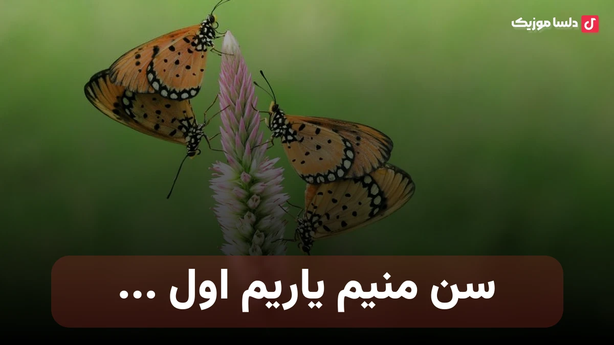 سن منیم یاریم اول گولری اوزلو یاریم اول ترکی